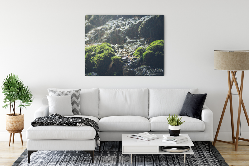 Rainfall Reverie – Austin, TX