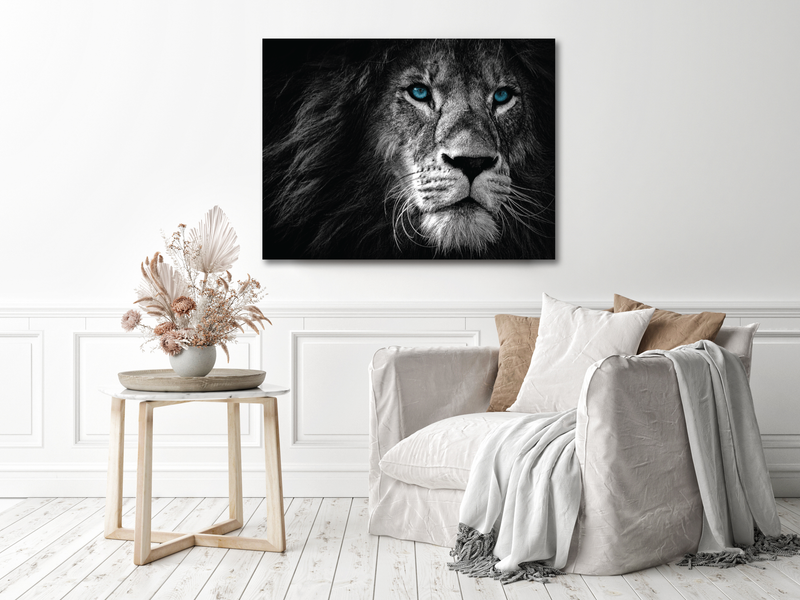 Blue Eyed Majesty: Monochrome Lion