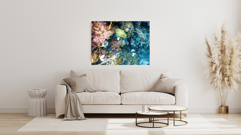 Guardian of the Reef – Bonaire